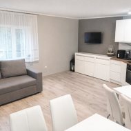 Mieszkanie na wynajem