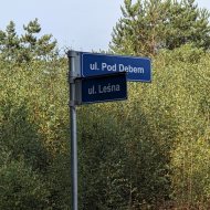 Dom na sprzedaż
